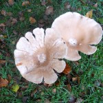 01-DSCN2518