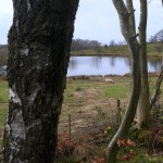 23-DSCN2698