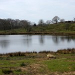 24-DSCN2699
