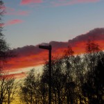 IMG_3801