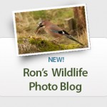 WILDLIFE-BLOG