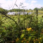 10-DSCN2863
