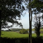 3-DSCN2327