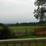DSCN3082
