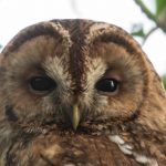B72A1096