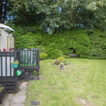 DSCN2397