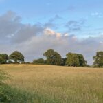 IMG_0498