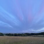 IMG_0500