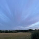 IMG_0503
